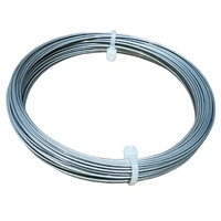 1 x 13 Metre Roll Stainless Steel Wire 304 (1.05mm) - Clamptite Replacement Wire