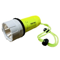 Waterproof LED Floating Torch