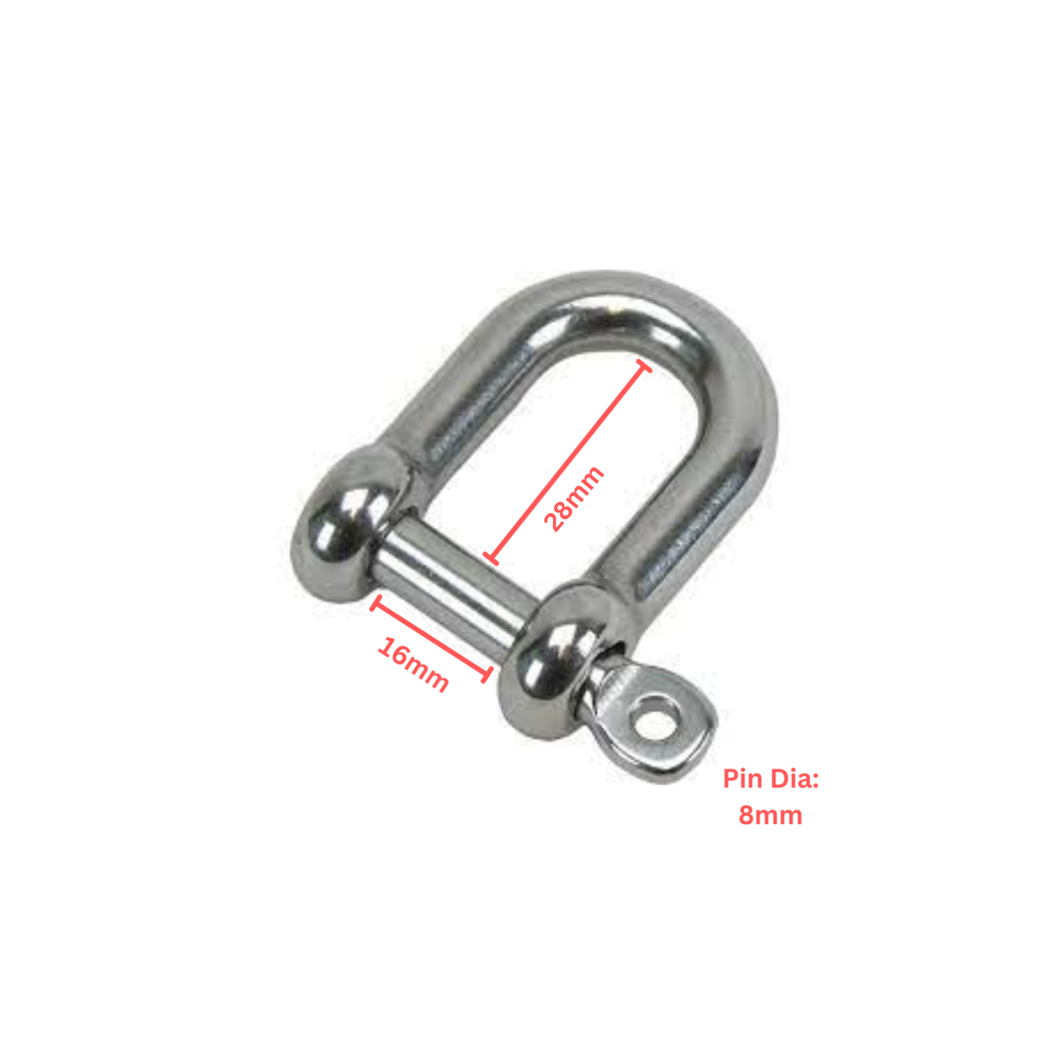 8mm Marine D Shackle - 316 Stainless Steel - Image 2