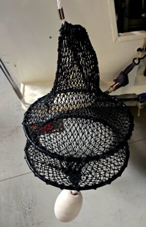 Scaler Bag
