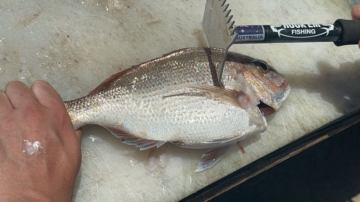 Hook'em Fish Scaler - Image 8