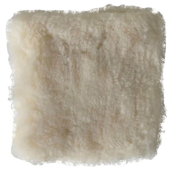 Clearview Ultimate Cleaning Kit - Image 6