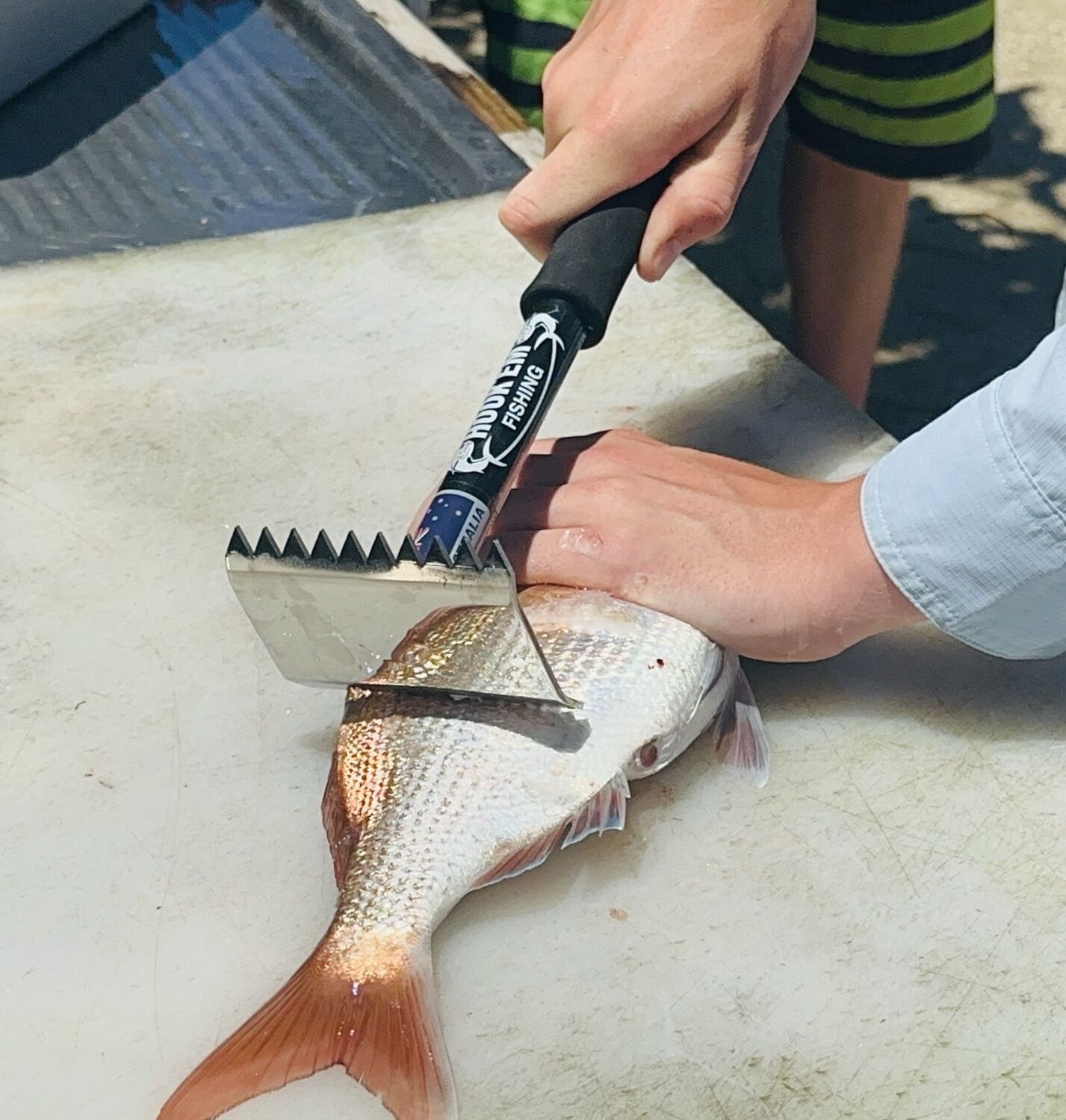 Hook'em Fish Scaler - Image 7